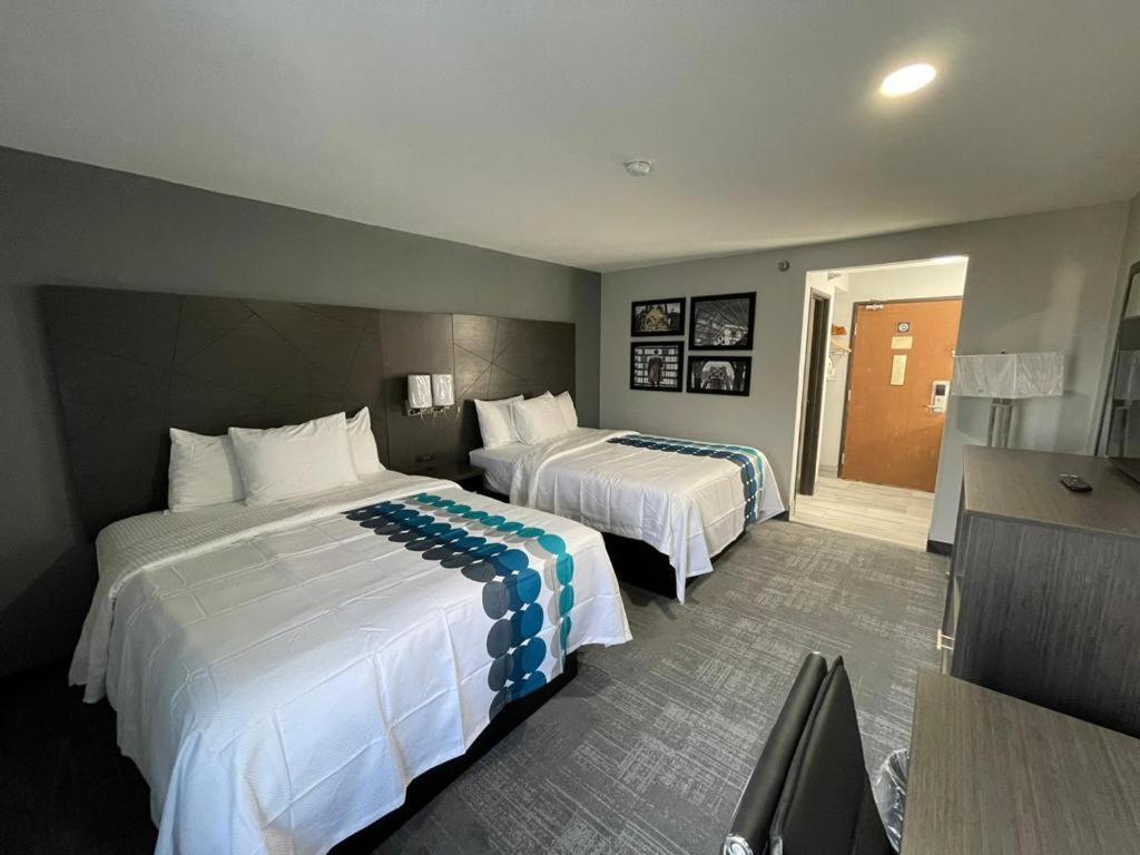 Studio Suite with Two Queen Beds - Non-Smoking