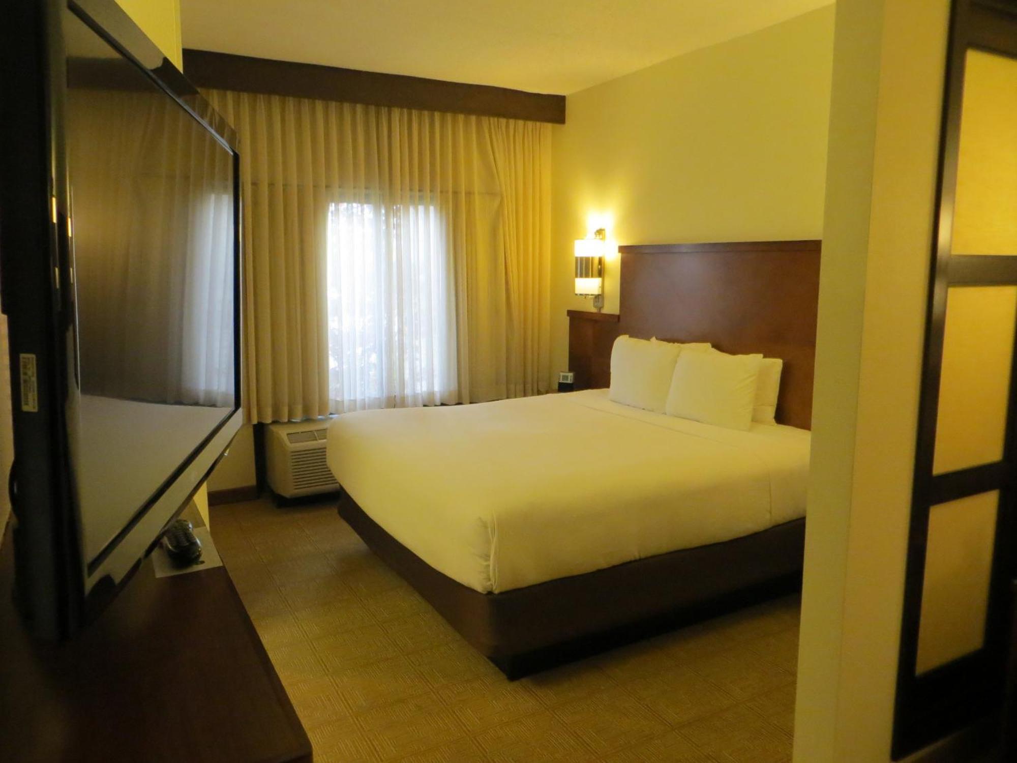 King Room Sofa Bed Roll Shower Disability Access