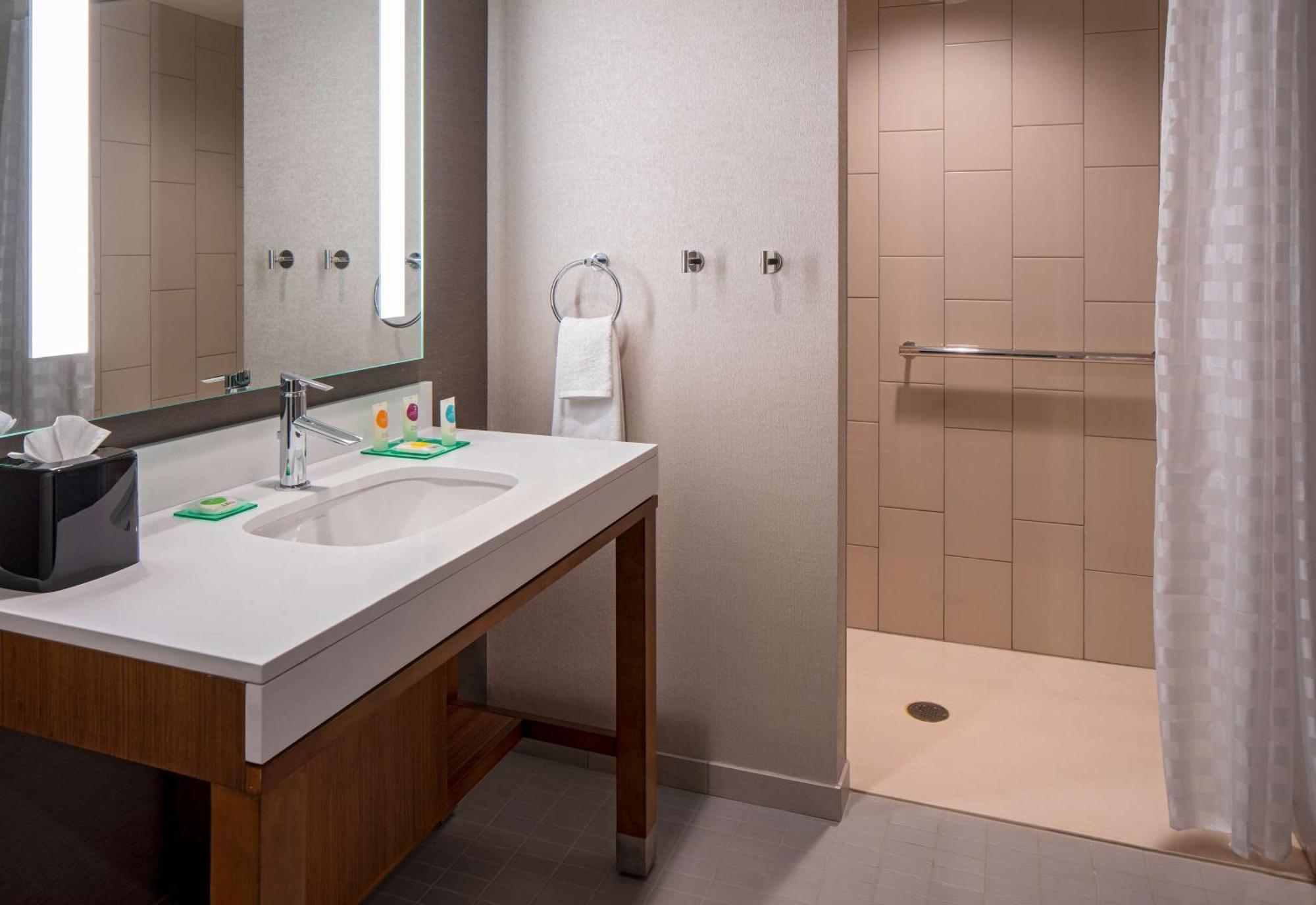King Room Roll Shower Disability Access