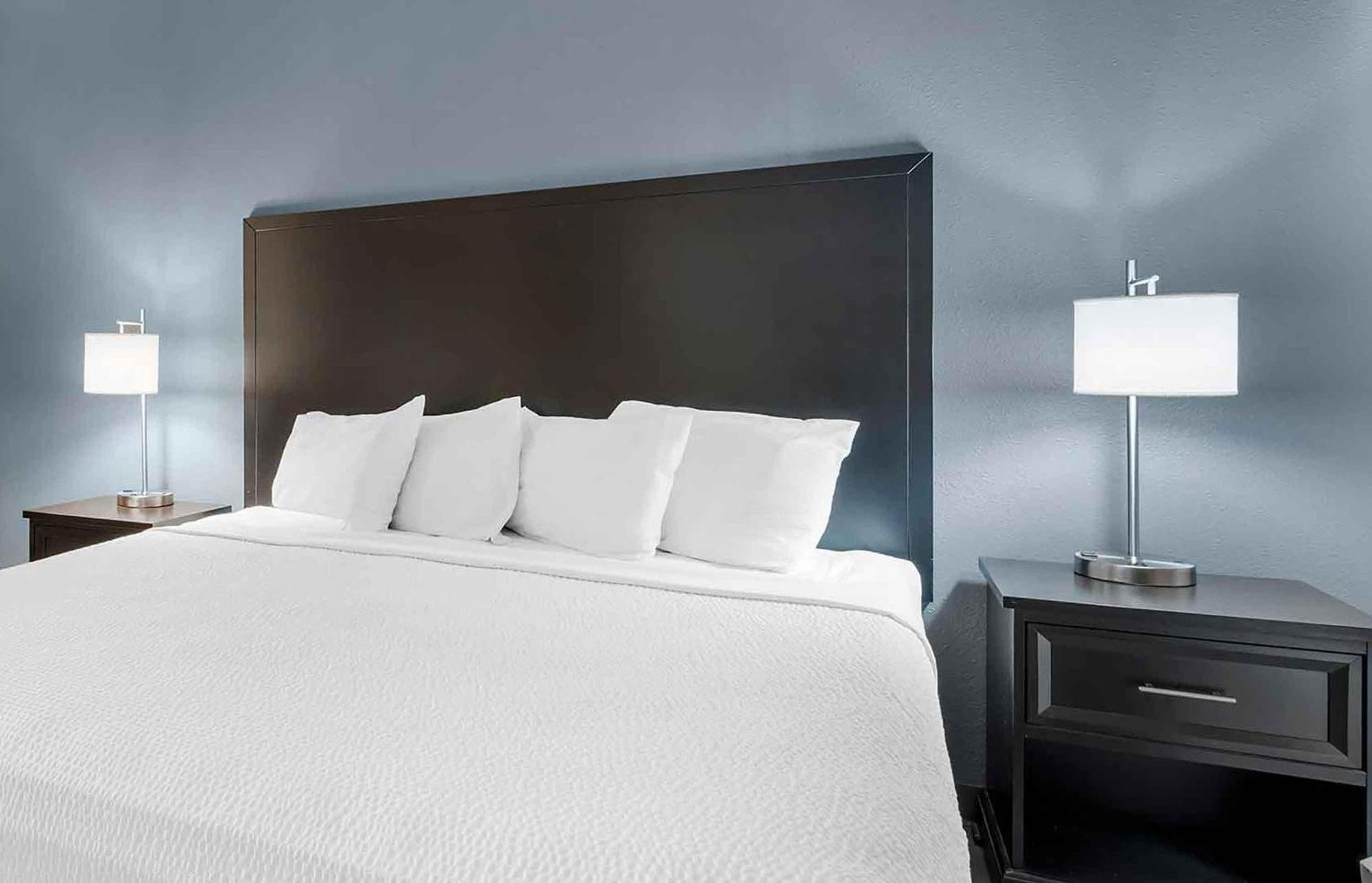 Deluxe Studio with 1 King Bed - Non-Smoking
