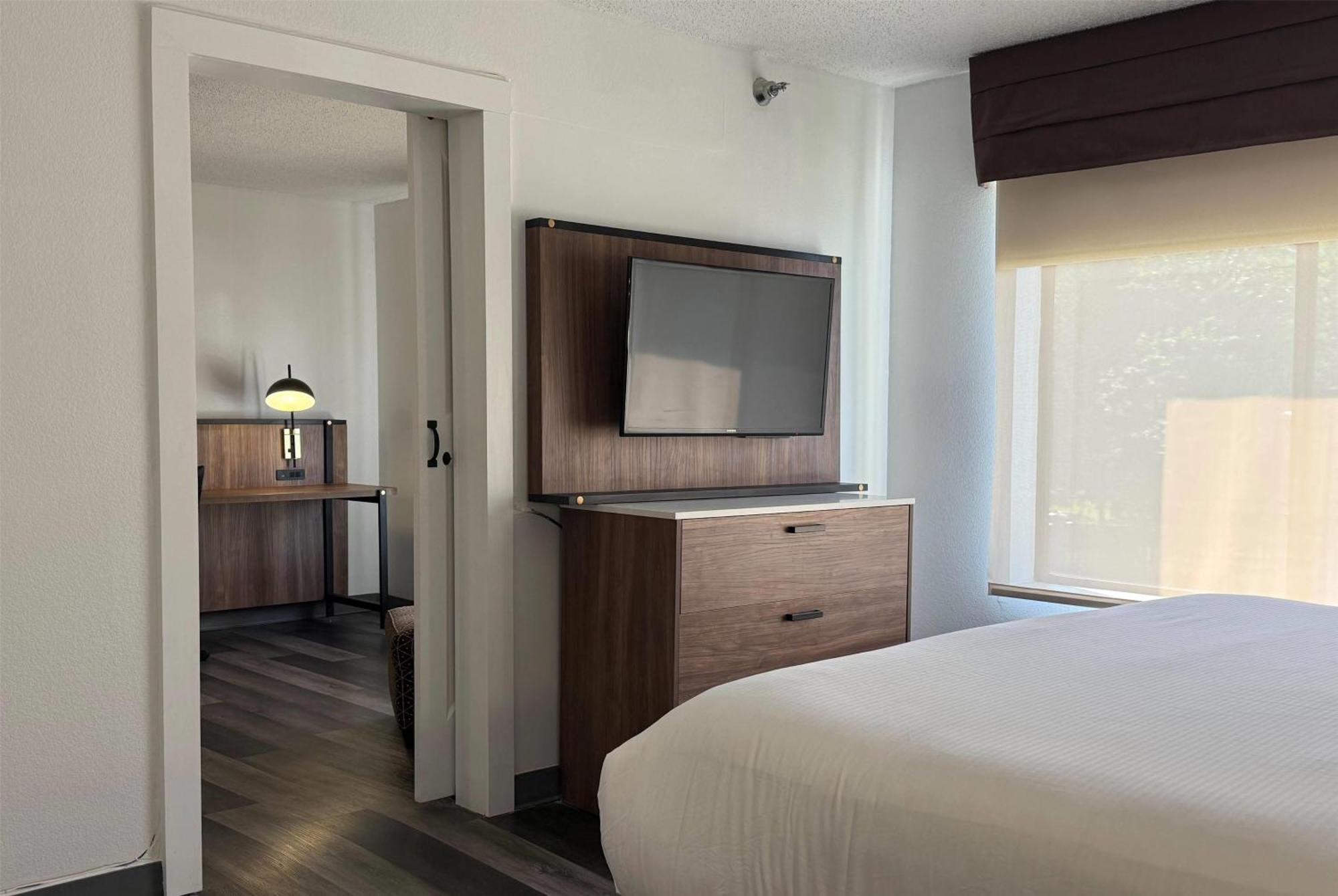 Deluxe One-Bedroom King Suite - Non Smoking