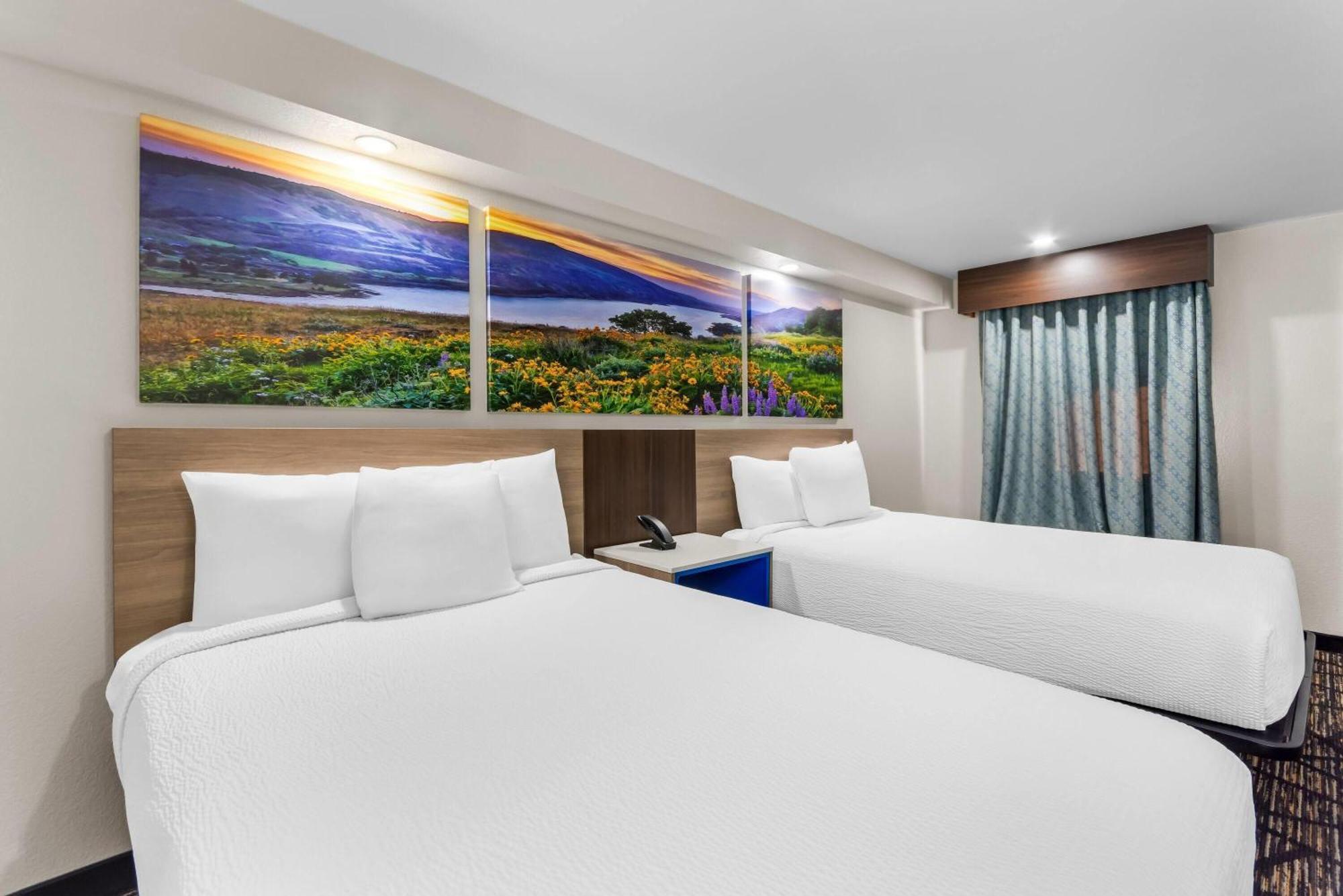 Double Room with Two Double Beds - Mobility Accessible/Non-Smoking,1742848489:JPEG