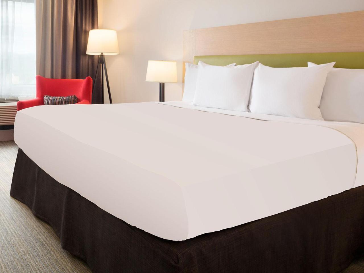 One-Bedroom King Suite with Sofa Bed