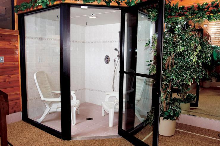 Chalet Swimming Pool Suite