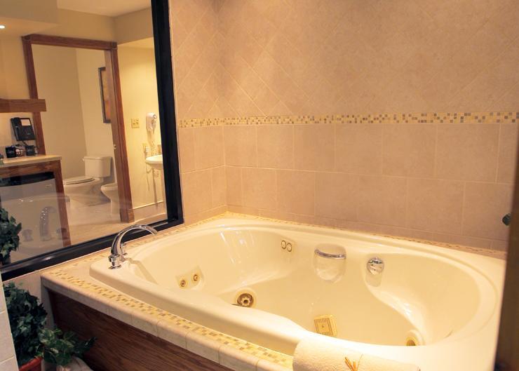 Paradise Swimming Pool Suite