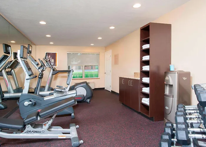 Towneplace Suites Indianapolis Park 100