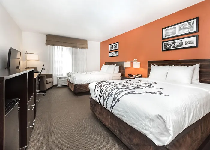 Sleep Inn & Suites And Conference Center Downtown Indianapolis